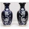 Image 1 : Pair of Blue and White Chinese Vases #1372035