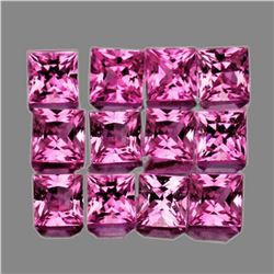 Natural Pink Sapphire 12 Pcs [IF-VVS]