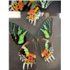 Image 6 : Madagascar Sunset Moth Display Case