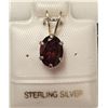 Image 1 : Silver Garnet(1.27ct) Pendant