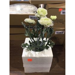 13" Ranunculus Pot