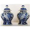 Image 1 : CHINESE BLUE AND WHITE JARS, KANGXI 18th#1348744