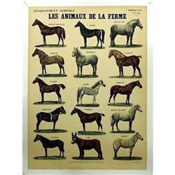 Mourlot Deyrolle   Les Animaux  De La Ferme #1365760