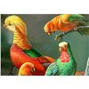 Image 1 : STRIKING EXOTIC BIRD AND PARROT OIL PAINTING #1377262