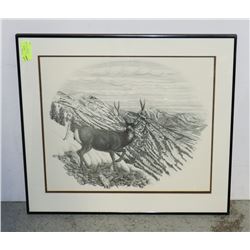 FRAMED DOUBLE MATTED JOHN DAYNES SIGNED