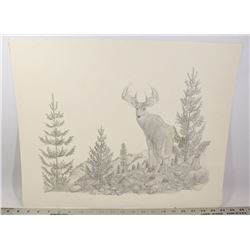 SIGNED NUMBERED JOHN DAYNES PRINT, 7/200