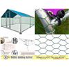 Image 1 : FEATURED CHICKEN COOPS