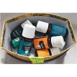 ESSENTIAL OILS - YOUNG LIVING 8 FULL BOTTLES