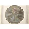 Image 1 : 2013 AMERICAN SILVER EAGLE NGC MS70 EARLY RELEASES