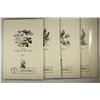 Image 2 : 4-1982 BIRDS OF THE US 1ST DAY ISSUE STAMPS AND