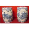 Image 1 : PAIR OF CHINESE EXPORT BLUE AND WHITE GARDEN #1366753