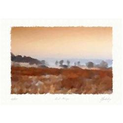 "Red mirage" Author's lithograph by Livitin In.#1378116