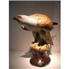 Image 1 : M.HERM FRITZ, Magnificent Porcelain Falcon  #1378810