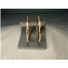 Image 1 : 14K Pink Rose Gold Diamond Hoop Earrings #1419922