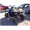 Image 3 : 2002 - POLARIS PREDATOR