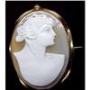 Image 1 : Museum Quality Cameo BROOCH #1350476