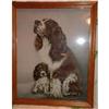 Image 1 : Springer Spaniel Lithograph Soulful and Wistful#1367657