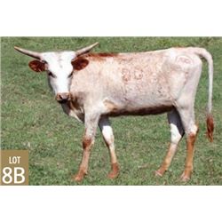 SH VALIANT LASS 80/9