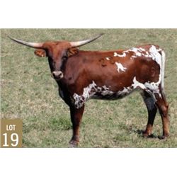 SH LUCKY LOUISIANA 28/9