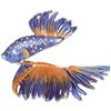Image 2 : Fighting Beta Fish Trinket Jewel Box