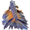 Image 3 : Fighting Beta Fish Trinket Jewel Box