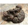 Image 2 : Antique Tree Root Carving, Alligator, Crocodile