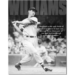 Ted Williams Baseball Metal Sign