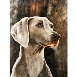 21stc Photorealism Oil Painting, Weimaraner, Hunting Dog