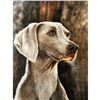 Image 1 : 21stc Photorealism Oil Painting, Weimaraner, Hunting Dog
