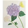 Image 1 : Limited Edition Print, Yellow Brimstone Butterfly, Hydragnea