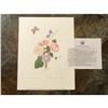 Image 3 : Limited Edition Print, Floral Bouquet and a Buckeye Butterfly