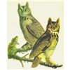 Image 1 : c1946 Audubon Print, #66 Great Horned Owl