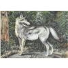 Image 1 : 1920's Gray Wolf Color Lithograph Print