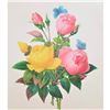 Image 1 : After Pierre-Jospeh Redoute, Floral Print, #127 Rose jaune et de Rose du Bengale (Rose)