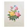 Image 2 : After Pierre-Jospeh Redoute, Floral Print, #127 Rose jaune et de Rose du Bengale (Rose)