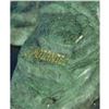 Image 8 : Large Life Size Bird of Prey, Eagle, Hawk Bronze Sculpture