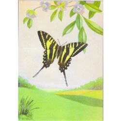 1920's Zebra Swallowtail Butterfly Color Lithograph