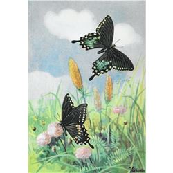 1920's Green-Clouded Swallowtail Butterfly Color Lithograph Print