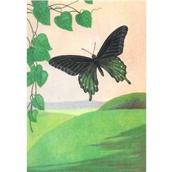 1920's Blue Swallowtail Butterfly Color Lithograph Print