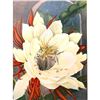 Image 1 : 1920's Night-Blooming Cereus Color Lithograph Print
