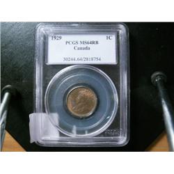 1929 1¢  PCGS MS64 Red/brown, clean sur