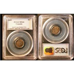 1889  5¢  PCGS MS66PQ.  Intense autumn
