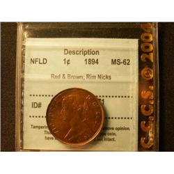 Newfoundland 1894 1¢  CCCS MS62 Red/Bro