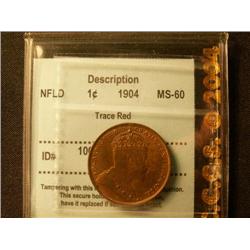 Newfoundland 1904H 1¢  CCCS MS60 Trace