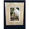 Image 1 : Lowcountry Marsh Bird Original Photograph