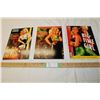 Image 1 : (3X THE MONEY) Risque plastic posters