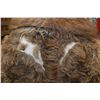 Image 6 : RCMP antique buffalo coat (repair on back needed)