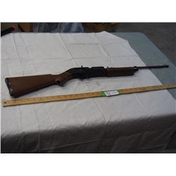 760 Pump Master pellet gun BB gun