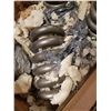Image 2 : 4 X COI SPRINGS. APPROX 1-3/4" DIA OD 9" 4-3/4" LENGTH 9"
