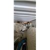 Image 14 : 8' X 40' X 8'  SHIPPING CONTAINER